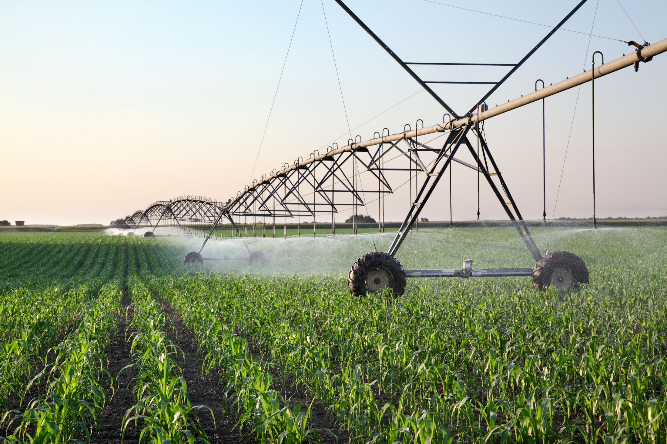 Center-pivot irrigation watering a young cornfield in North Central Iowa farm country.